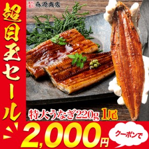 プレミアム会員送料無料 特大 うなぎ蒲焼 1尾 約220g たれ山椒２個付き 鰻 ウナギ かば焼き 土用の丑の日 スタミナ 冷凍便 本 海鮮 プレ