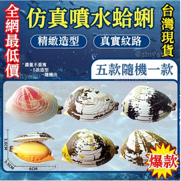 🔥台灣現貨 蛤蜊水槍 噴水蛤蜊 仿真蛤蜊 水槍 小水槍 造型水槍 水槍玩具 迷你水槍 戲水玩具 沙灘玩具 打水仗