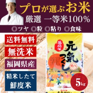 [前田家] 無洗米 プロが選ぶ一等 米 食味ランク 特A 元気つくし  5kg 精米　福岡県産 送料無料