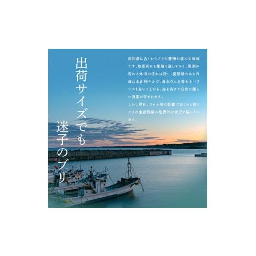 ふるさと納税 高知県 芸西村 「ブリの漬け丼の素」1食80g×5P《迷子のブリを食べて応援 養殖生産業者応援プロジェクト》