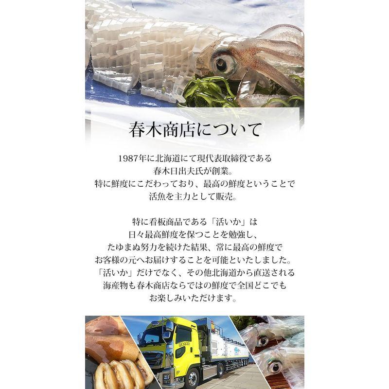 いか 船上漬け 活いか沖漬け 2パック 北海道函館産 春木商店 イカ シーフード 海鮮 グルメ