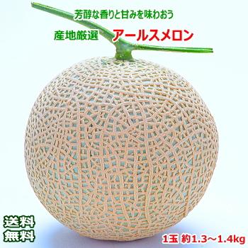 送料無料 産地厳選 アールスメロン1玉 約1.3〜1.4kg ギフト 贈答 プレゼント 内祝い 出産祝い フルーツギフト お中元