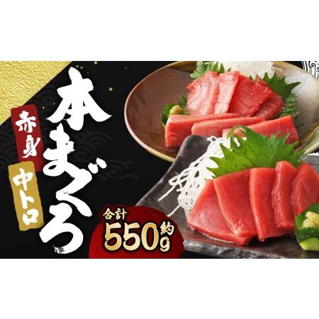 ふるさと納税 長崎県産 本マグロ2種盛り「中トロ・赤身」約550g 長崎県時津町