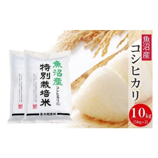 ふるさと納税 新潟県 魚沼産コシヒカリ 特別栽培米10kg 新潟県認証米 令和5年産