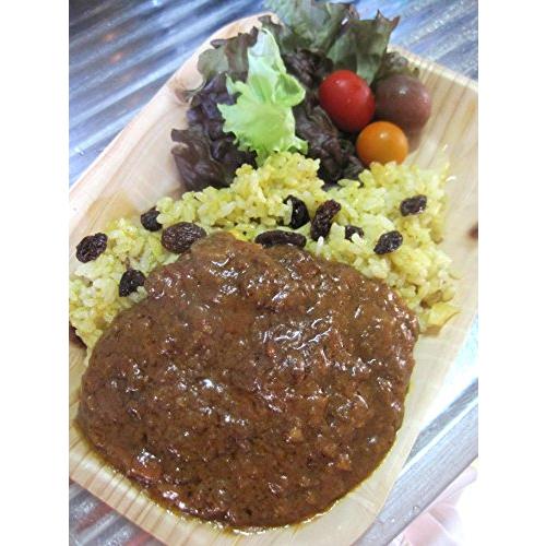 カレー専門店 sabzi（サブジ） オリジナル レトルトカレー 佐賀牛使用 ひき肉カレー（180g×2食） キーマカレー