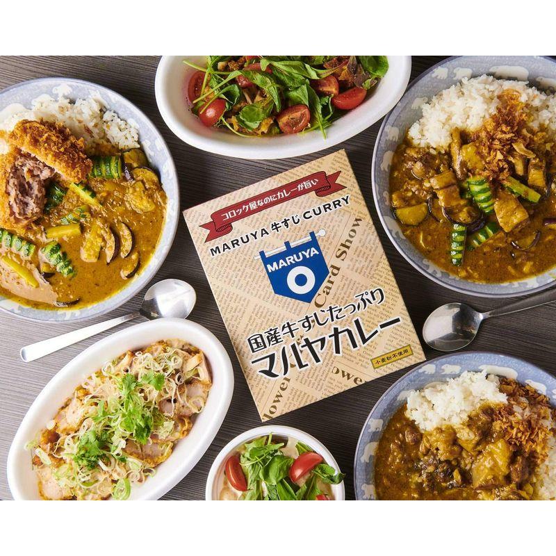 国産牛すじたっぷりマルヤカレー5パックセット＋トートバック