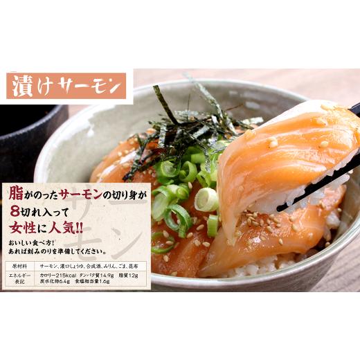 ふるさと納税 愛媛県 西条市 本格 海鮮漬け丼 3種セット（各2袋）６人前 海鮮丼 鮪漬け 鯛漬け サーモン漬け