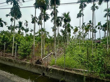 屏東竹田方正特定農地｜屏東縣竹田鄉新勢段