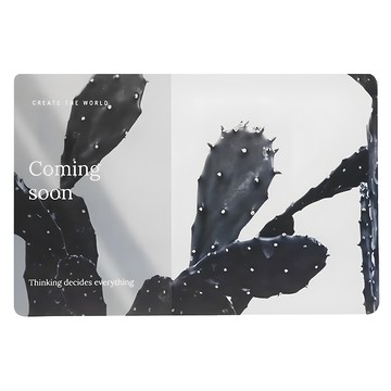 iINDOORS 防水隔熱餐桌墊 黑色仙人掌  45 x 30cm  1個