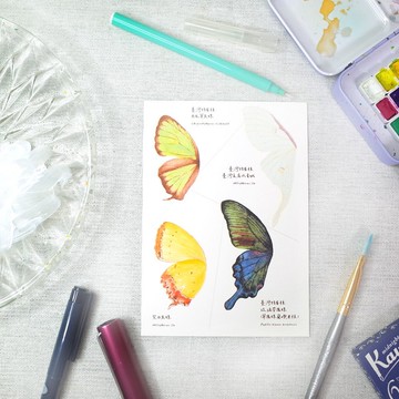 原創水彩畫明信片 臺灣特有種蝶蛾翅膀