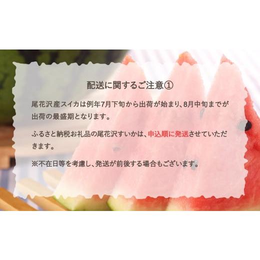 ふるさと納税 山形県 尾花沢市 先行予約 尾花沢産スイカ Lサイズ 約6kg×2玉 7月下旬〜8月中旬頃発送 令和6年産 2024年産 観光物産 kb-su1xx2