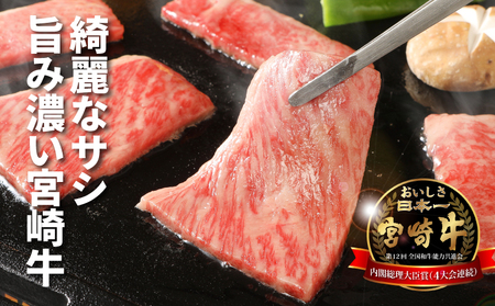 宮崎牛肩ロース焼肉600ｇ K18_0037