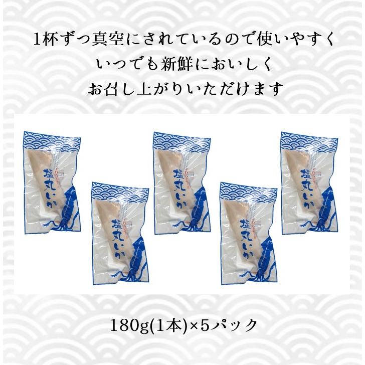 塩丸いか 180g(1本) 5パック　信州 名物  塩イカ 冷凍 国産  郷土食 塩漬け 塩丸イカ