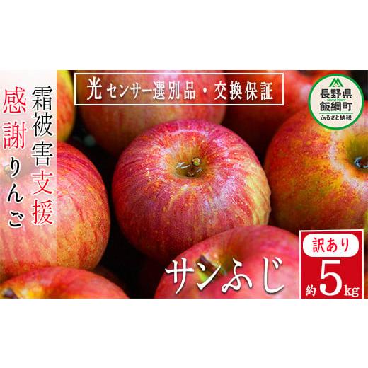 ふるさと納税 長野県 飯綱町 りんご サンふじ 訳あり ５Kg （12〜25玉）  果物 交換保証 長野 「 感謝りんご 」 「ふるさとチョイス限定中学生応援企画返礼品…