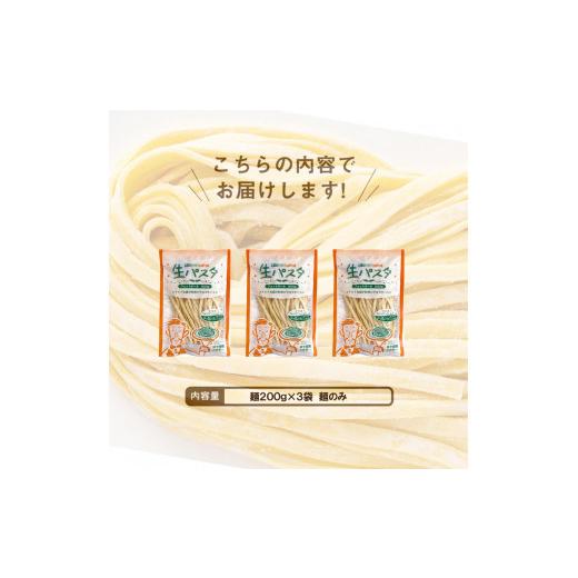 ふるさと納税 香川県 坂出市 生パスタ 麺のみ 6食（200g×3袋）フェットチーネ ｜パスタ麺 生麺 もっちり