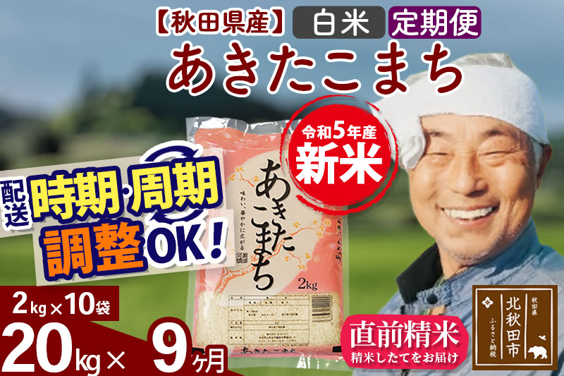 《定期便9ヶ月》＜新米＞秋田県産 あきたこまち 20kg(2kg小分け袋) 令和5年産 配送時期選べる 隔月お届けOK お米 おおもり|oomr-10809