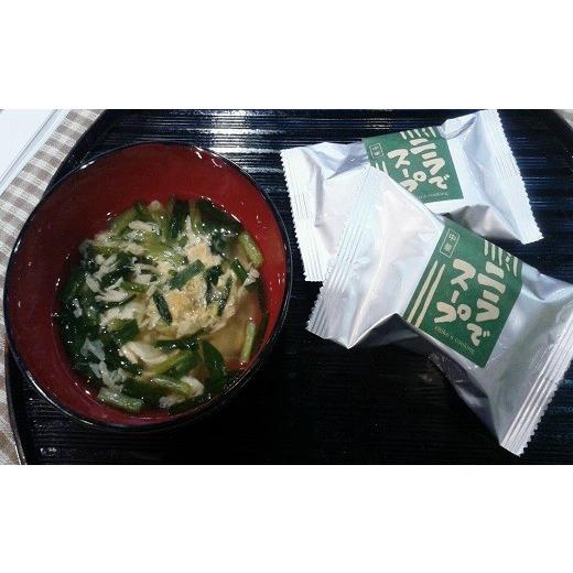 ふるさと納税 熊本県 甲佐町 ニラでスープ