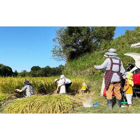 ふるさと納税 《玄米》淡路島の棚田米 １０kg 兵庫県淡路市