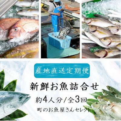 ふるさと納税 肝付町 魚屋さんの選んだ新鮮お魚詰め合わせ(約4人分)　C09002