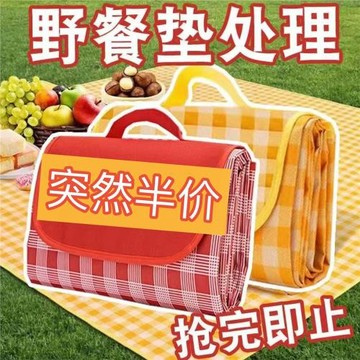 野餐墊戶外防潮墊便攜春游地墊野餐布ins風露營墊子野餐用品