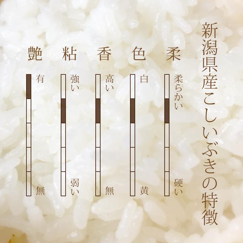 新潟県産こしいぶき 新米 白米 令和5年産 5kg 精米