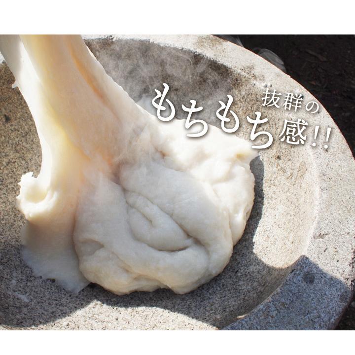  もち米 5kg ヒヨクモチ　九州佐賀県産　送料無料