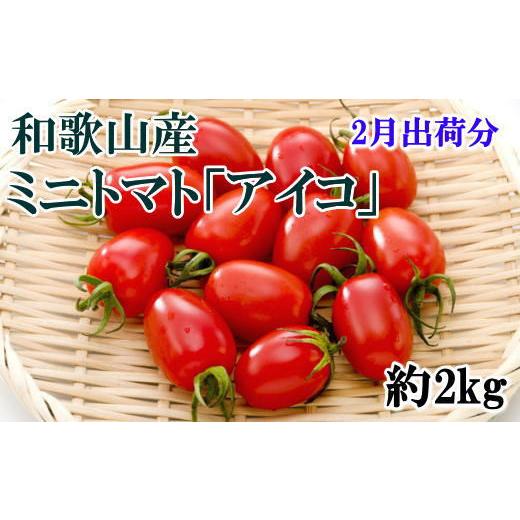 ふるさと納税 和歌山県 上富田町 ミニトマト「アイコトマト」約2kg（S・Mサイズおまかせ）和歌山産