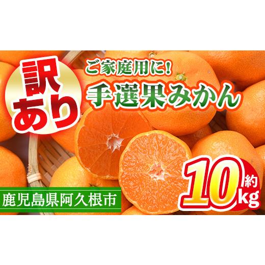 ふるさと納税 鹿児島県 阿久根市 ＜訳あり＞鹿児島県産手選果みかん(計10kg)国産 柑橘 果物 フルーツ ご家庭用 サイズ 不揃い4-43