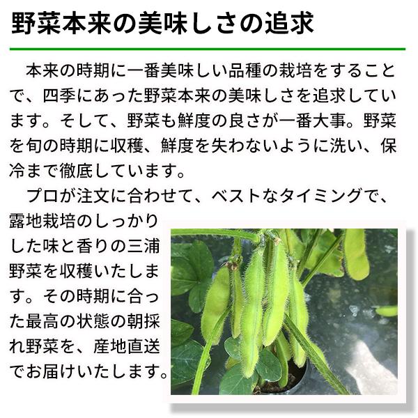 朝採り三浦野菜セット（7種類）