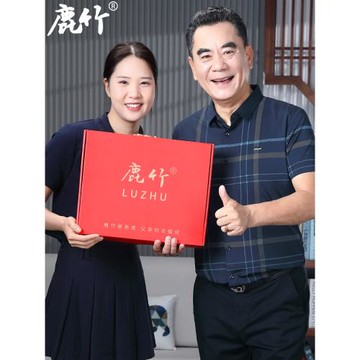 鹿竹爸爸夏裝冰絲短袖襯衫中年男士新款襯衣中老年人男裝夏季衣服