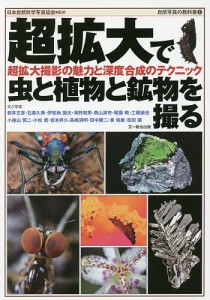 超拡大で虫と植物と鉱物を撮る 超拡大撮影の魅力と深度合成のテクニック