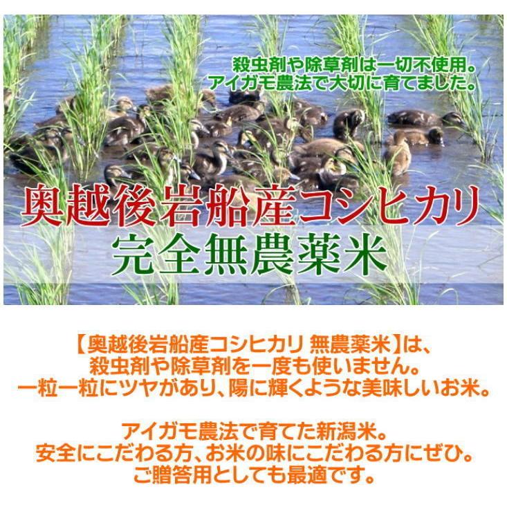 玄米 農薬無使用 コシヒカリ 3kg   希少米 合鴨農法 新潟 岩船産 令和5年産 新米   人気 おいしい 新潟米 こしひかり 送料無料