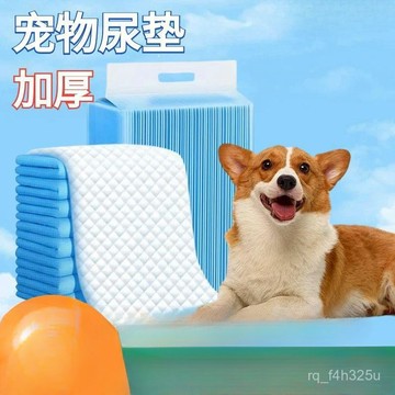 【24時熱賣】寵物護墊 一次性狗狗生理褲 狗狗尿墊加厚除臭吸水尿片吸尿紙100片貓咪兔子尿不溼寵物隔尿墊 4UCY