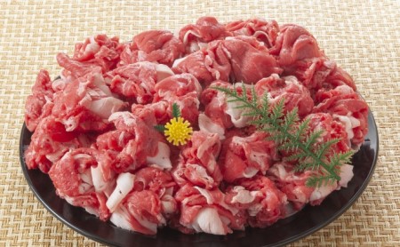 限定 牛肉 博多和牛 A4～A5 切落とし 合計10kg（500g×20p）肩ロース 赤身 バラ カルビ 配送不可：離島