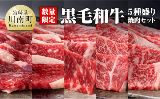 ※令和6年2月より順次発送※黒毛和牛5種盛り 焼肉セット（数量限定）600g  [F0653]