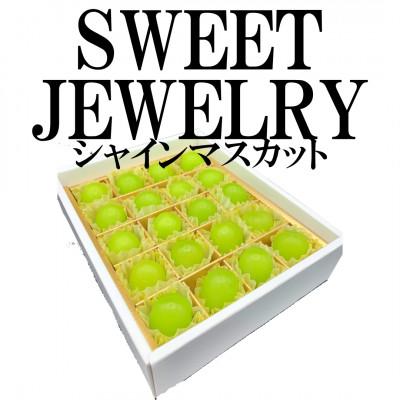 ふるさと納税 南アルプス市 山梨県南アルプス市産　シャインマスカット　〜SWEET JEWELRY〜　20粒