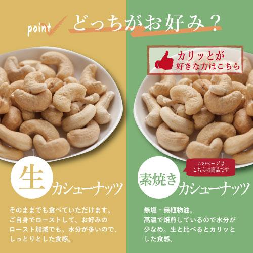 ナッツ 素焼きカシューナッツ 20gx50袋 小分け 送料無料 個包装 製造直売 無添加 無塩 無植物油 グルメ