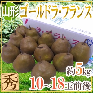 山形産 ”ゴールドラフランス” 秀品 10～18玉前後 約5kg 洋梨 送料無料