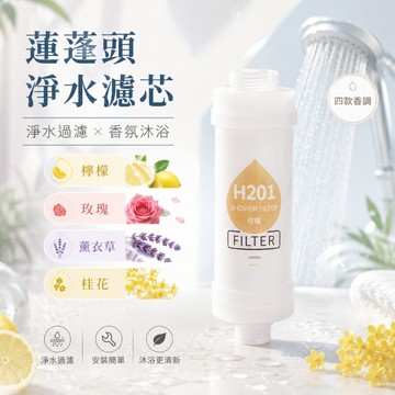 【JDUDS】【現貨快發】蓮蓬頭淨水濾芯 香氛濾芯 蓮蓬頭濾芯 沐浴過濾器 淋浴過濾器 香氛濾芯 香氛過濾器 除氯濾芯