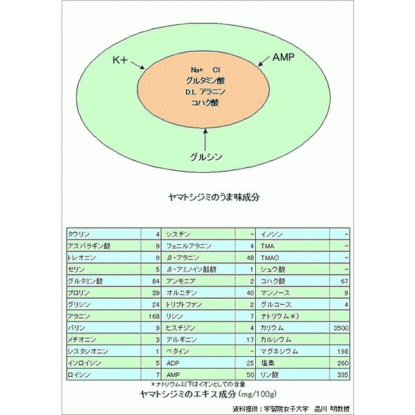 貝類 シジミ 送料無料 島根県 神西湖産 大和しじみ 1kg