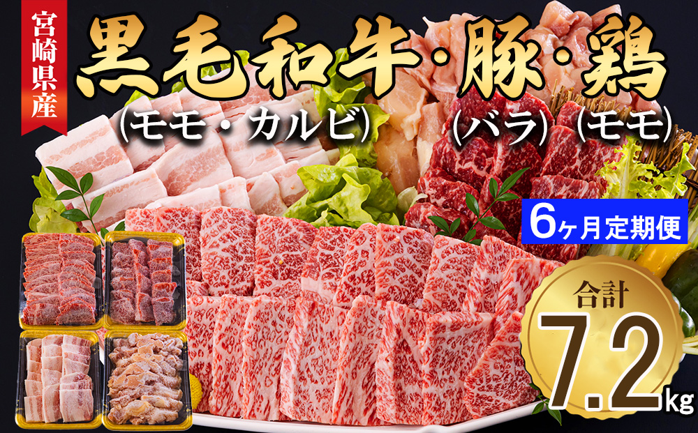  宮崎県産 焼肉 セット 黒毛和牛 モモ カルビ 豚バラ 若鶏 モモ 合計7.2kg 各300g 小分け 冷凍 送料無料 国産 BBQ バーベキュー キャンプ 普段使い 炒め物 丼 カット 詰め合わせ 経産牛