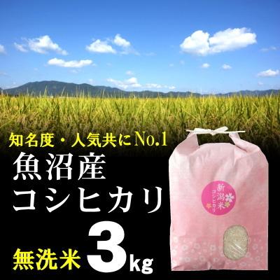 無洗米 魚沼産コシヒカリ 3kg 米 お米   最高級銘柄 新潟 魚沼米 令和5年産 新米   人気 おいしい 新潟米 こしひかり 送料無料