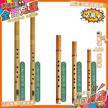 西成製造🚀零基礎入門洞簫便攜苦竹高級短蕭笛初學迷你古風六F調民族瀟樂器
