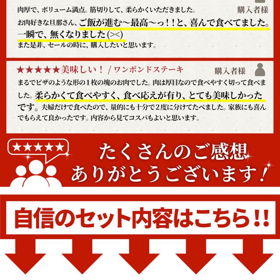 ステーキ 福袋 牛肉 肉 セット 料理長おまかせ福袋 お試し 焼くだけ 簡単調理 食べ比べ お歳暮 ギフト 食品 キャンプ キャンプ飯