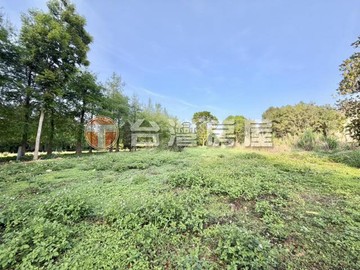 石岡合法農舍大地坪！都內渡假農場！｜台中市石岡區新金星段