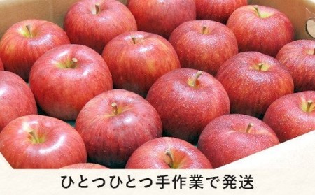 りんご シナノゴールド スマートフレッシュ 3kg 丸茂ファーム 沖縄県配送不可 2024年3月上旬頃〜5月上旬頃順次発送予定 エコファーマー認定 信州の環境にやさしい農産物認証 令和5年度収穫分 農家直送 予約 15000円 長野県 飯綱町 [1198]