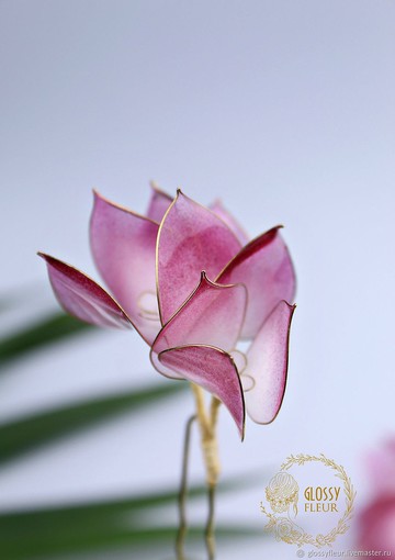 髮夾套 九重葛 粉紅色的花朵 用九重葛裝飾 首飾套裝 水晶髮夾