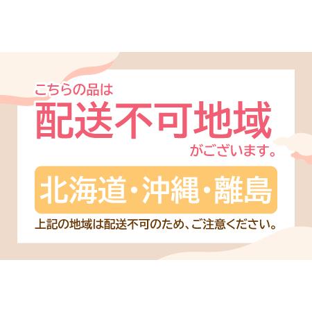 ふるさと納税 石見和牛　ロースステーキ用　約170g×4枚 島根県美郷町