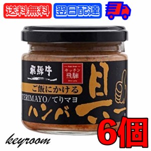 飛騨ハム ご飯にかける飛騨牛ハンバ具ー てりマヨ 120g 6個 ハンバーグ 飛騨高山 飛騨 惣菜 照り焼き マヨネーズ 牛肉 おかず おにぎりの