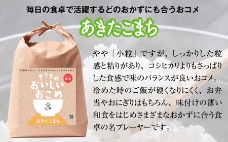 新米農家直送 稲敷市産 無洗米あきたこまち 10kg (5kg×2) [0629]